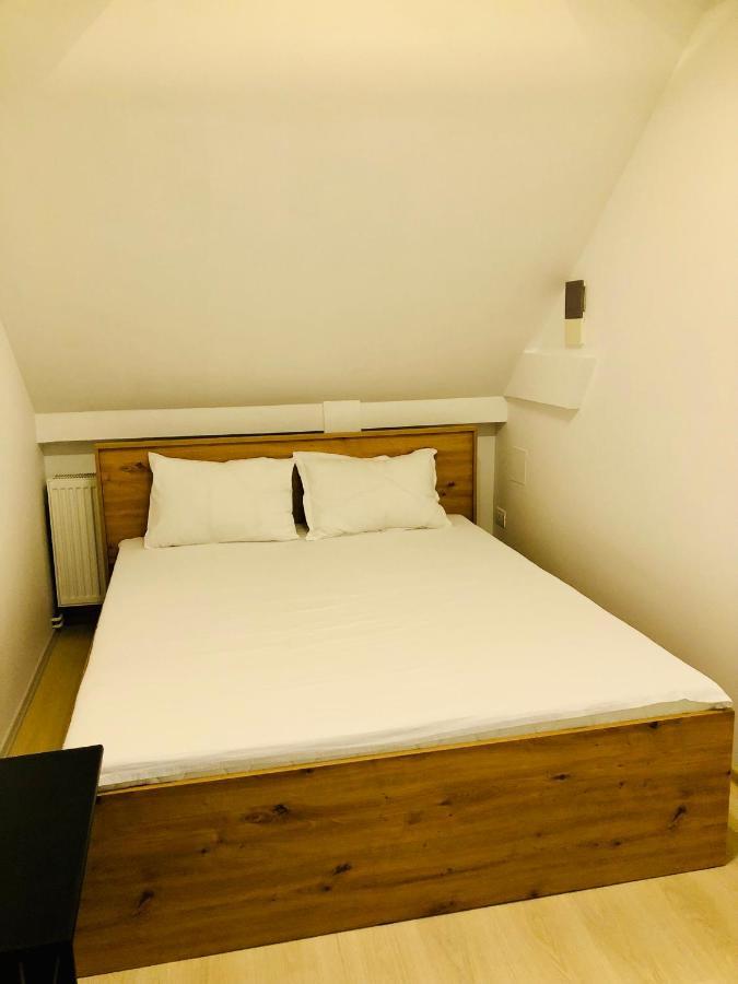 Ultra-Central Modern And Big Apartments In Union Square U41-U44 蒂米什瓦拉 外观 照片