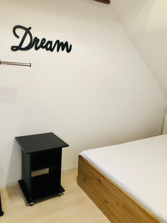 Ultra-Central Modern And Big Apartments In Union Square U41-U44 蒂米什瓦拉 外观 照片