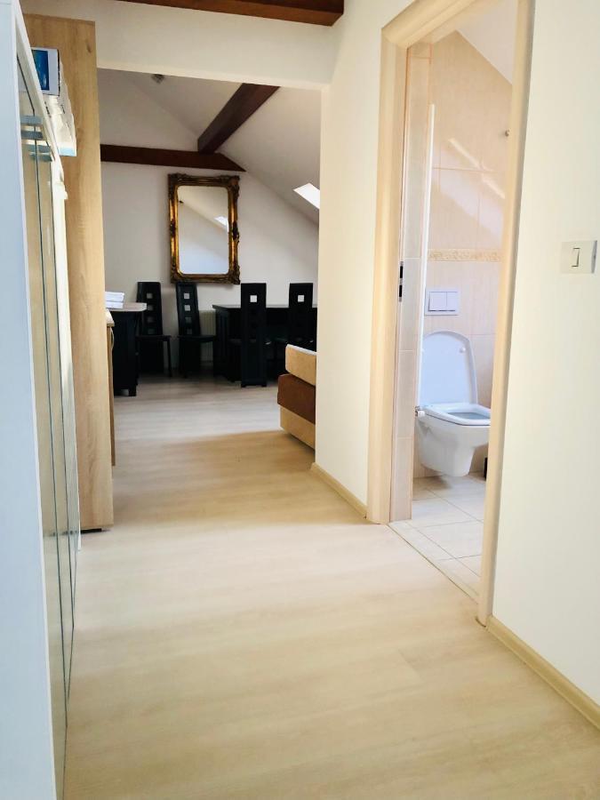 Ultra-Central Modern And Big Apartments In Union Square U41-U44 蒂米什瓦拉 外观 照片