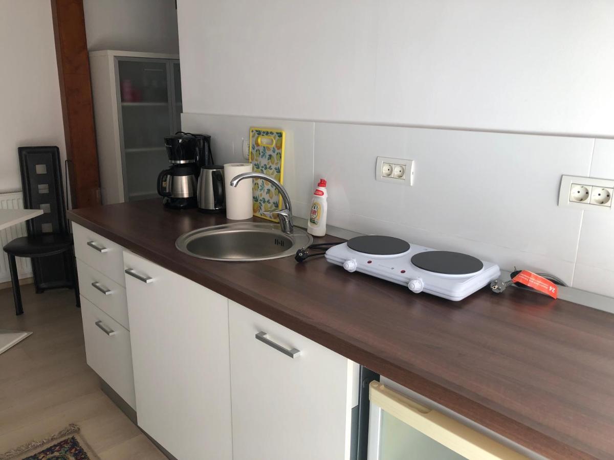 Ultra-Central Modern And Big Apartments In Union Square U41-U44 蒂米什瓦拉 外观 照片