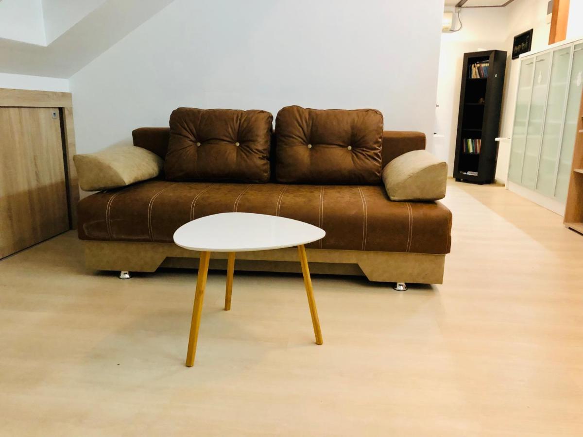 Ultra-Central Modern And Big Apartments In Union Square U41-U44 蒂米什瓦拉 外观 照片