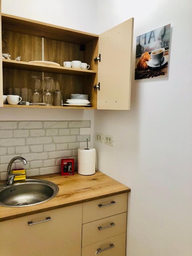 Ultra-Central Modern And Big Apartments In Union Square U41-U44 蒂米什瓦拉 外观 照片