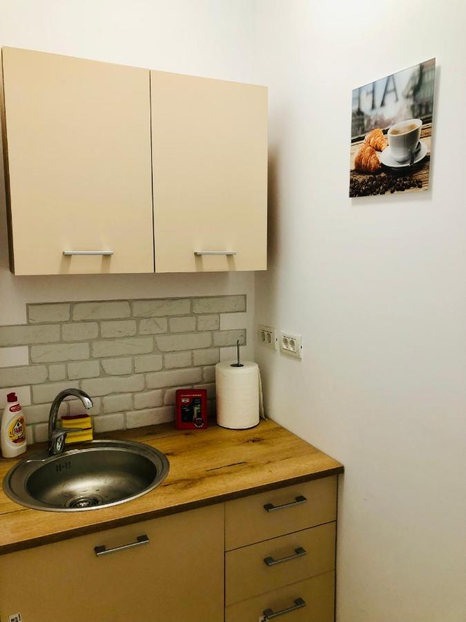 Ultra-Central Modern And Big Apartments In Union Square U41-U44 蒂米什瓦拉 外观 照片