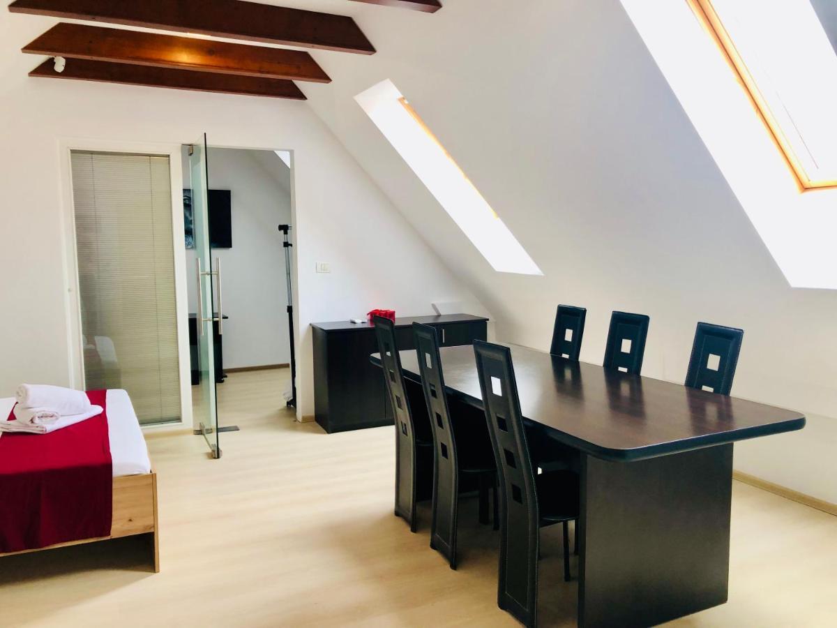 Ultra-Central Modern And Big Apartments In Union Square U41-U44 蒂米什瓦拉 外观 照片
