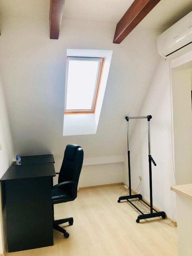 Ultra-Central Modern And Big Apartments In Union Square U41-U44 蒂米什瓦拉 外观 照片