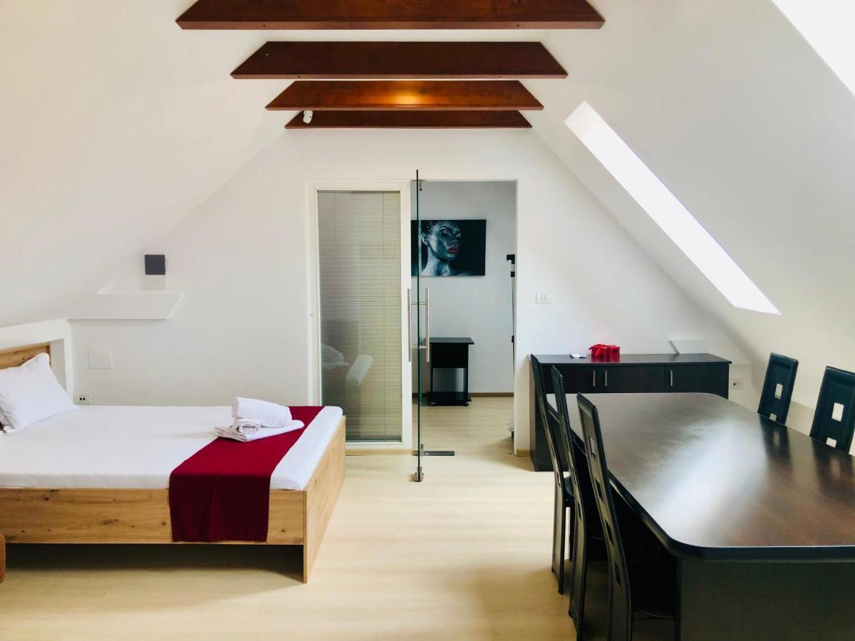 Ultra-Central Modern And Big Apartments In Union Square U41-U44 蒂米什瓦拉 外观 照片