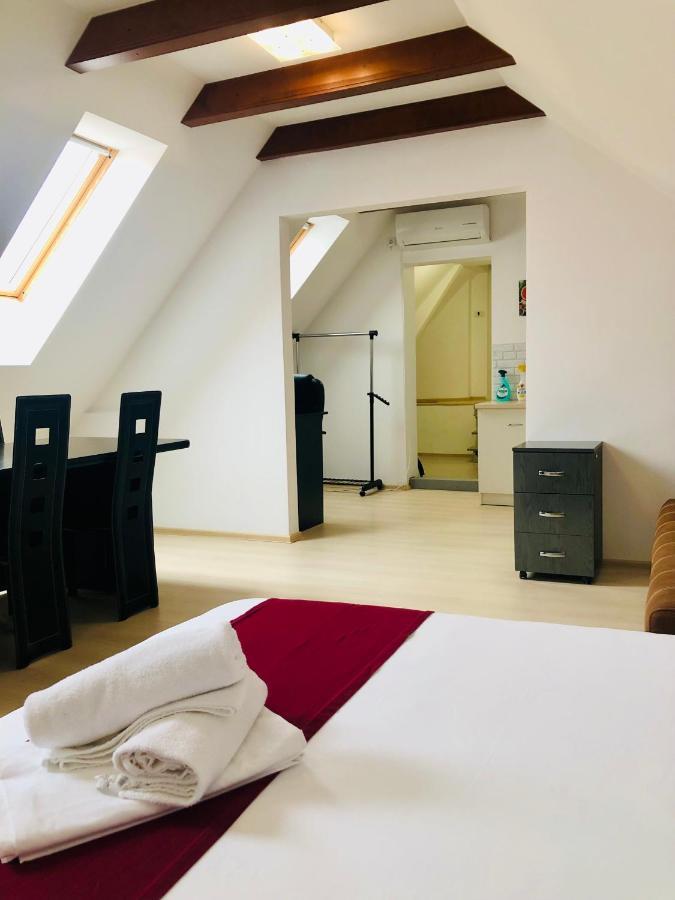 Ultra-Central Modern And Big Apartments In Union Square U41-U44 蒂米什瓦拉 外观 照片