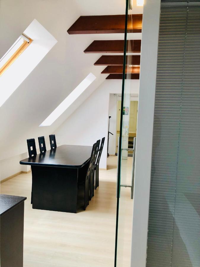 Ultra-Central Modern And Big Apartments In Union Square U41-U44 蒂米什瓦拉 外观 照片